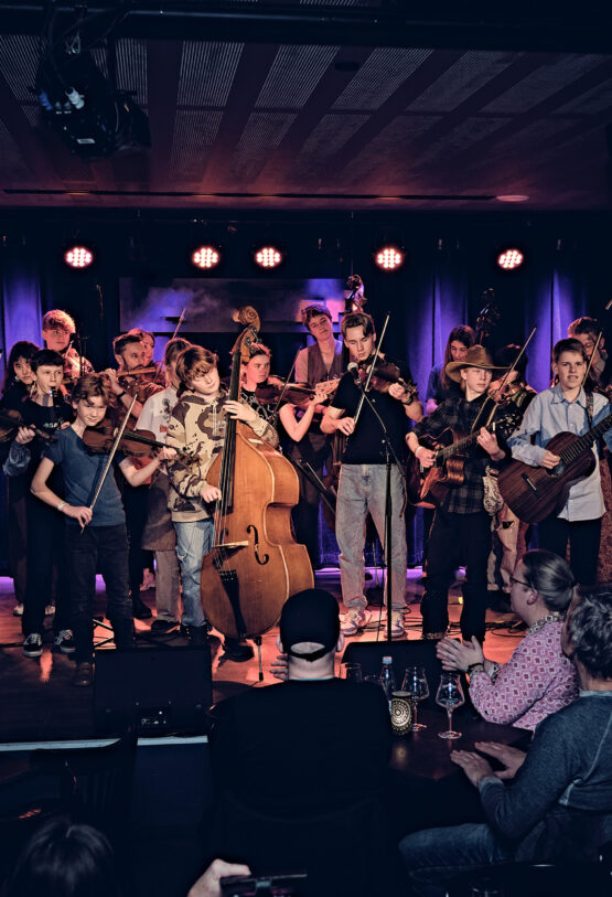 Syddansk Folkemusikskole